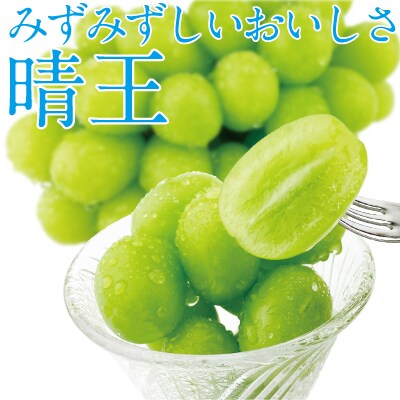 【2026年先行受付】シャインマスカット晴王 1房 約600g 岡山県産[No.5735-1678]