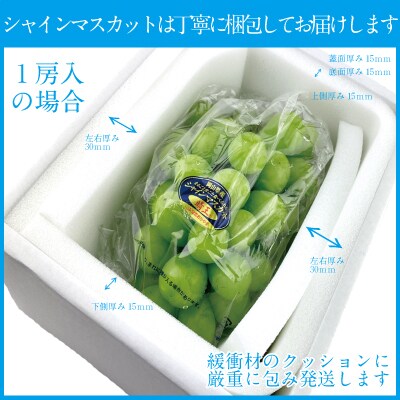 【2026年先行受付】シャインマスカット晴王 1房 約600g 岡山県産[No.5735-1678]