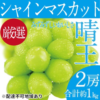 シャイン マスカット 晴王 2房 (合計約1kg) 岡山県産 [No.5735-1679]