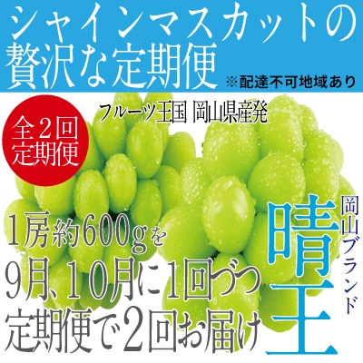 9~10月発送 シャイン マスカット 晴王 1房 約600g 岡山県産 [No.5735-1680]