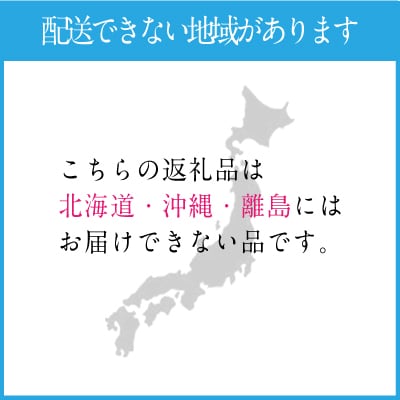 【2回定期便】 シャイン マスカット 晴王 1房 約600g 岡山県産 [No.5735-1680]