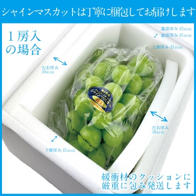 【2回定期便】 シャイン マスカット 晴王 1房 約600g 岡山県産 [No.5735-1680]