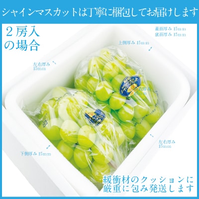 【2回定期便】 シャイン マスカット 晴王 2房(合計約1kg)岡山県産[No.5735-1682]