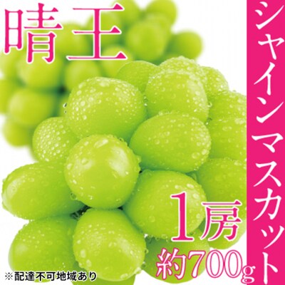 【2026年先行受付】シャインマスカット晴王 1房 約700g 岡山県産[No.5735-1684]