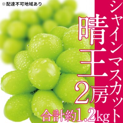 シャイン マスカット 晴王 2房(合計約1.2kg) 岡山県産 [No.5735-1685]