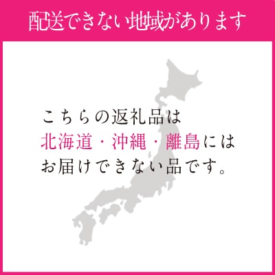 9~10月発送 シャイン マスカット 晴王 1房 約700g 岡山県産 [No.5735-1686]