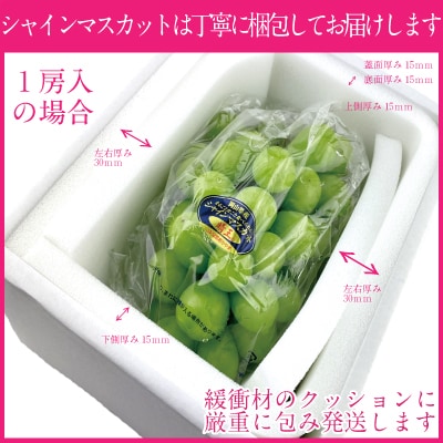 9月~11月発送 シャインマスカット 晴王 1房 約700g 岡山県産[No.5735-1687]