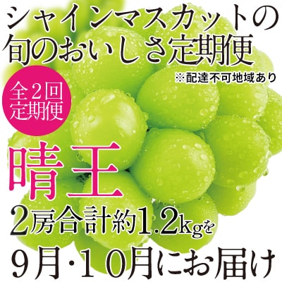 9~10月発送 シャインマスカット晴王 2房(合計約1.2kg)岡山県産[No.5735-1688]