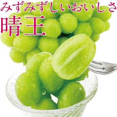 9~10月発送 シャインマスカット晴王 2房(合計約1.2kg)岡山県産[No.5735-1688]