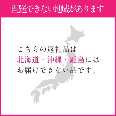 9~11月発送 シャインマスカット 晴王2房(合計約1.2kg)岡山県産[No.5735-1689]
