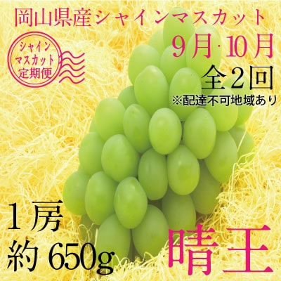 9~10月発送 シャイン マスカット 晴王 1房 約650g 岡山県産 [No.5735-1692]