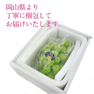 9~10月発送 シャイン マスカット 晴王 1房 約650g 岡山県産 [No.5735-1692]