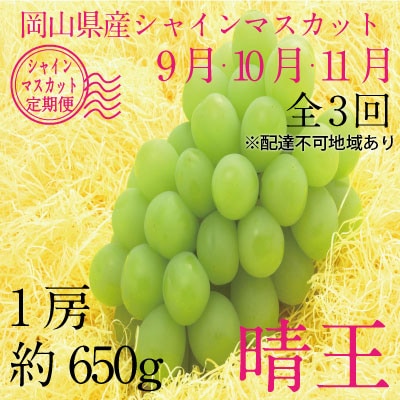 9~11月発送 シャインマスカット 晴王 1房 約650g 岡山県産[No.5735-1693]