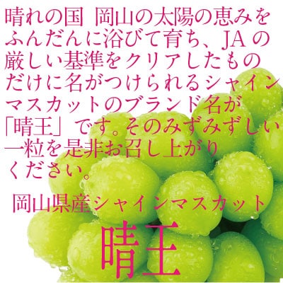 9～10月発送 シャインマスカット晴王 2房(合計約1.1kg)岡山県産[No.5735-1694]