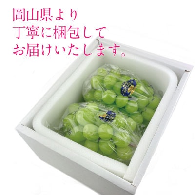 9～10月発送 シャインマスカット晴王 2房(合計約1.1kg)岡山県産[No.5735-1694]