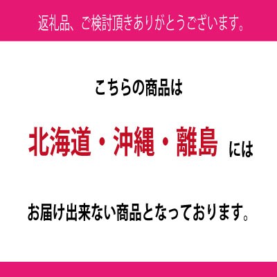 9～10月発送 シャインマスカット晴王 2房(合計約1.1kg)岡山県産[No.5735-1694]