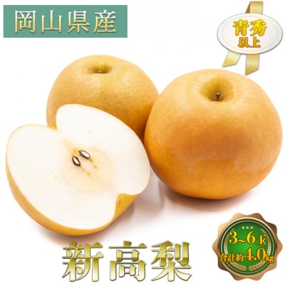 新高梨 3～6玉 青秀以上 合計約4.0kg 岡山県産 化粧箱入り [No.5735-1798]