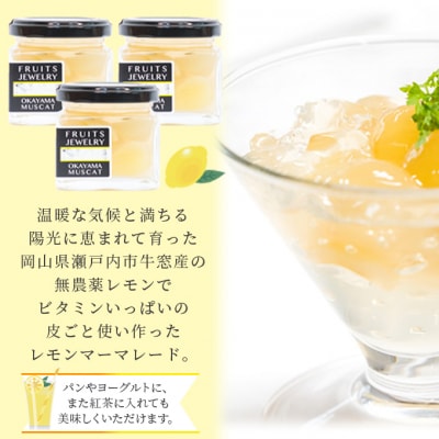FRUITS JEWELRY 岡山 レモン マーマレード 3個 セット [No.5735-1824]