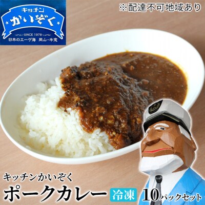 冷凍 ポーク カレー 10パック セット キッチンかいぞく B級グルメ [2123004]