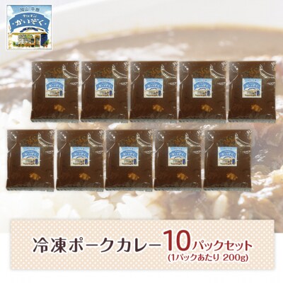 冷凍 ポーク カレー 10パック セット キッチンかいぞく  B級グルメ[No.5735-1828]