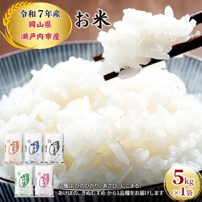 令和7年産 お米  5kg×1袋 特A 岡山県 瀬戸内市産 [No.5735-1800]