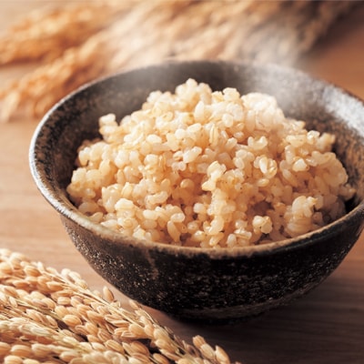 令和7年産 早炊 玄米 きぬむすめ 2kg×4袋  岡山県産 産地直送 [No.5735-1858]