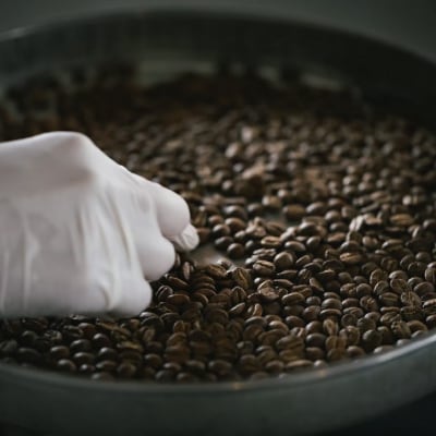 キノシタショウテン スペシャルティコーヒーバッグ アソート 30袋セット[No.5735-1859]