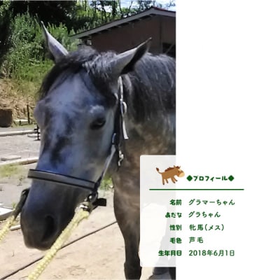馬 たてがみ 手作り ストラップ 1個  オリジナル キーホルダー  [No.5735-1877]