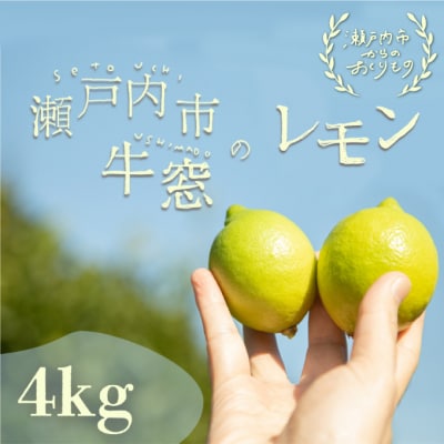 瀬戸内 牛窓産 レモン 約4kg(1果 100g前後) [No.5735-1307]