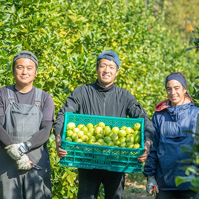 瀬戸内 牛窓産 レモン 約4kg(1果 100g前後) [No.5735-1307]