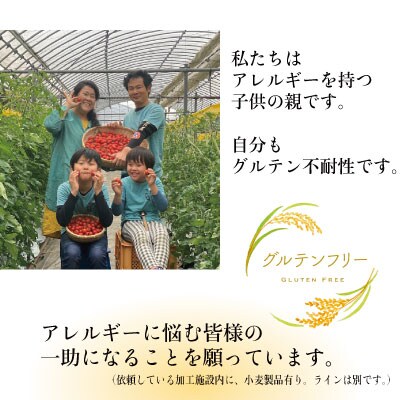 グルテンフリーを実践している農家が作った米粉1.5kg(500g×3袋)[No.5735-1878]