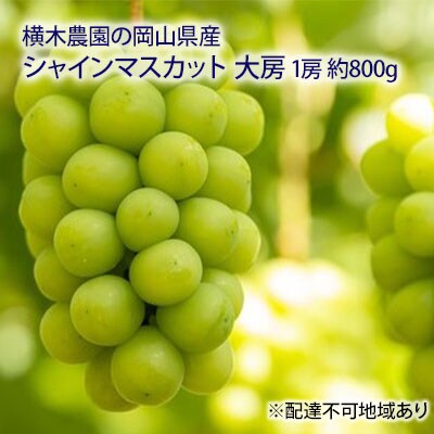 【2025年先行受付】シャインマスカット 大房1房 約800g 岡山県産[No.5735-1636]