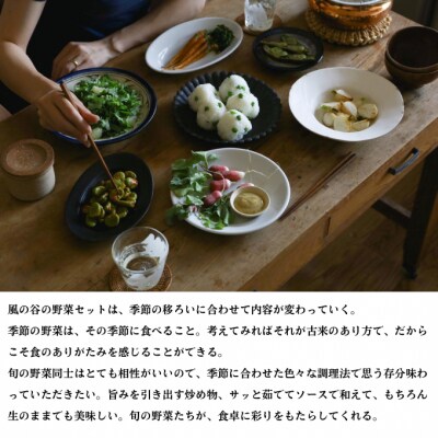 ORGANICFARM 風の谷旬の野菜セット9ヶ月定期便(月2回お届け)[No.5735-1897]