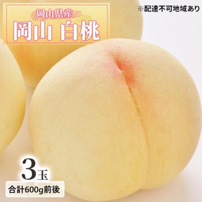  【2025年先行受付】 白桃 3玉入り 合計600g前後 岡山県産 [No.5735-1886]