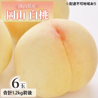  【2025年先行受付】白桃 6玉入り 合計1.2kg前後 岡山県産  [No.5735-1885]