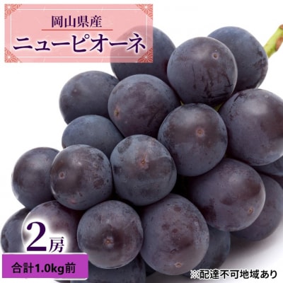  【2026年先行受付】ニューピオーネ2房 合計1.0kg前後 岡山県産[No.5735-1888]