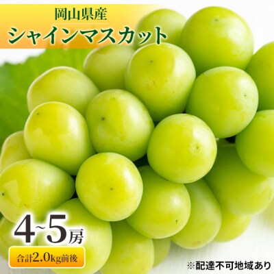 シャインマスカット 晴王 4～5房 合計2.0kg前後 岡山県産 [No.5735-1894]
