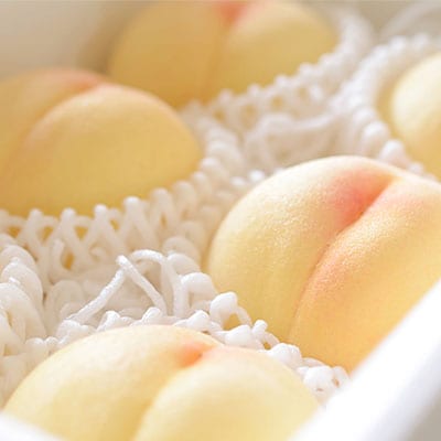 岡山の 白桃 (早生、中生種)約2.0kg 6～9玉 岡山県産 [No.5735-1634]