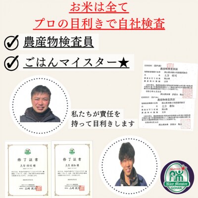 定期便 6ヶ月 令和6年産 お米 5kg×1袋 特A 岡山県 瀬戸内市産[No.5735-1805]