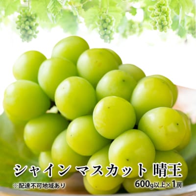 シャイン マスカット 晴王 600g以上×1房  岡山県産 [No.5735-1880]