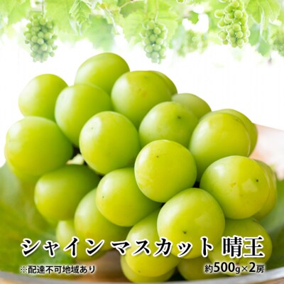 シャイン マスカット 晴王 約500g×2房  岡山県産 [No.5735-1881]