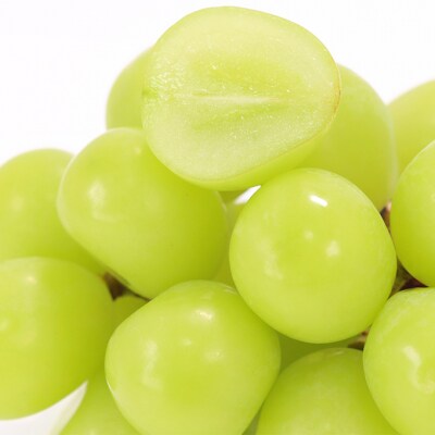 シャイン マスカット 晴王 約500g×2房  岡山県産 [No.5735-1881]