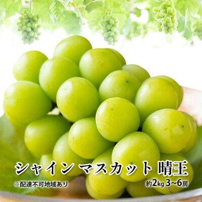 シャイン マスカット 晴王 約2kg  3～6房  岡山県産 [No.5735-1882]