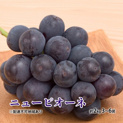 【2026年先行受付】 ニュー ピオーネ 約2kg 3～6房 岡山県産 [No.5735-1884]