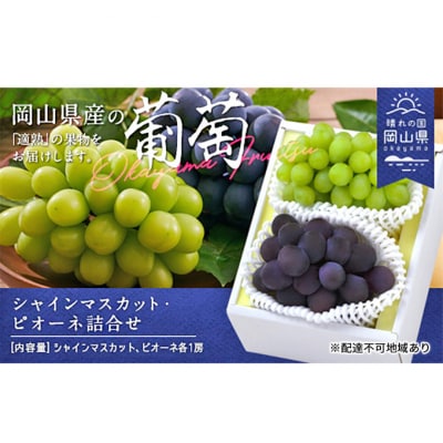 果物 詰合せ シャイン マスカット・ニュー ピオーネ 各1房 岡山県産 [No.5735-1900]