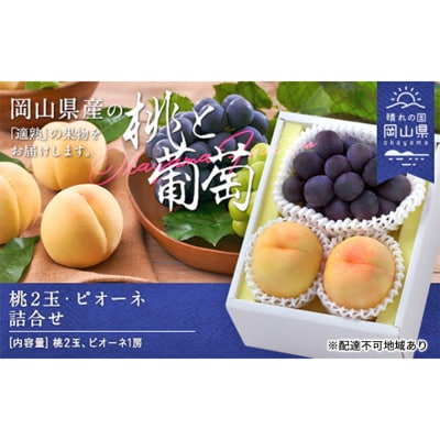 果物 詰合せ 白桃 晩生種 2玉 ニュー ピオーネ 1房 岡山県産 [No.5735-1901]