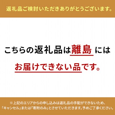 果物 詰合せ 白桃 晩生種 2玉 ニュー ピオーネ 1房 岡山県産 [No.5735-1901]