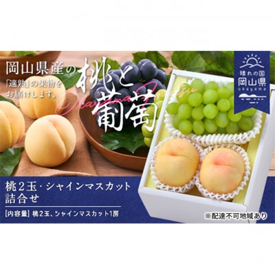 白桃 晩生種 2玉 シャイン マスカット 1房  岡山県産 [No.5735-1902]