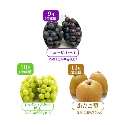 【2026年先行受付】フルーツ王国 岡山を堪能 定期便 3回コース [No.5735-1907]