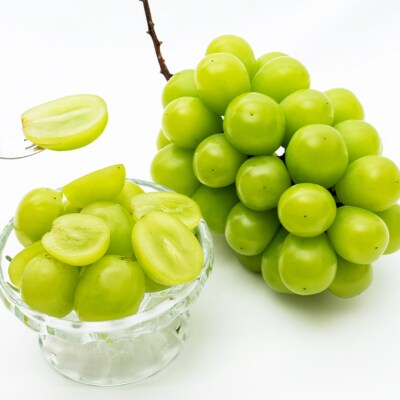 【2026年先行受付】フルーツ王国 岡山を堪能 定期便 3回コース [No.5735-1907]